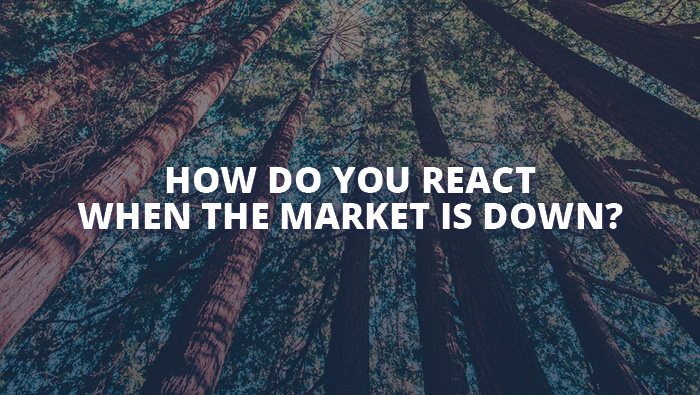 How Do You React When the Market is Down?