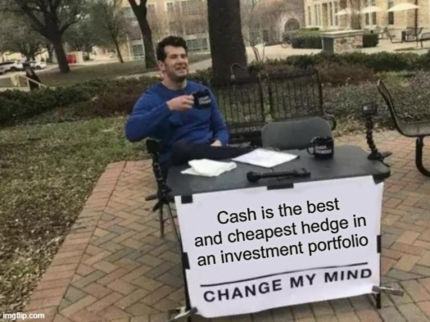 Cash-Best-Hedge